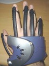 [P5 Glove PIC]