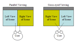 [Stereo Viewing PIC]